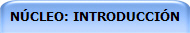NÚCLEO: INTRODUCCIÓN